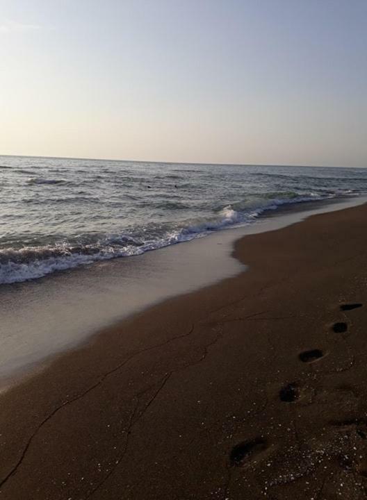 Hotel Poseidon Shekhvetili Esterno foto